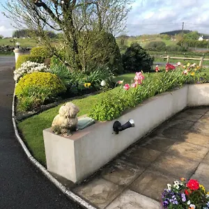 Bed & Breakfast June's Kilkelly